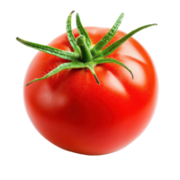 Fresh red tomato isolated on Transparent background with natural shine and green stem, Tomato isolated on background png