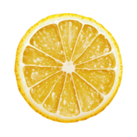 Freshly sliced lemon showcasing vibrant texture and juicy segments on a transparent background, lemon isolated on trransparent png
