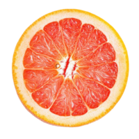 Grapefruit slice displaying juicy segments and vibrant colors on a white background, grapefruit sliceisolated on white background png