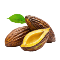 Ripe cocoa fruits with distinct pods and vibrant leaves isolated on a Transparent background for culinary use, ripe cacao fruit isolated on background png