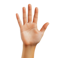 Hand raised with five fingers against a plain Transparent background showcasing a gesture of greeting or signaling, Raised Hand , Five Fingers, background png