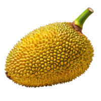 Jackfruit with vibrant yellow rind isolated on Transparent background showcasing its unique texture and shape, Jack fruit isolated on background png