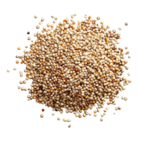 Quinoa grain variety isolated on Transparent background for culinary and nutritional purposes, Quinoa Isolated on background png