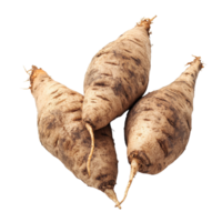 Fresh yacon roots displayed on a white background, showcasing their unique shape and texture, Fresh Yacon rootsisolated on white background png