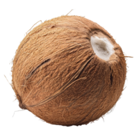 Fresh coconut isolated on a clean Transparent background showcasing its natural texture and shape, Coconut isolated on background format png