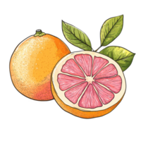 Fresh pink orange and grapefruit with vibrant slice showcasing juicy texture and color, pink orange or grapefruit with slice isolated on Transparent background png