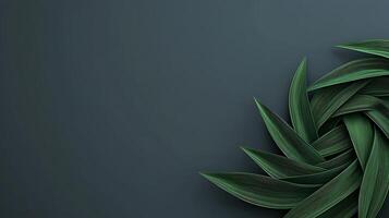 Lush green leaves arranged in a spiral pattern on a dark background, creating a serene atmosphere photo