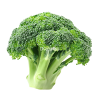 Fresh broccoli stalk with vibrant green florets isolated on a clean white background for culinary use and nutrition, fresh Broccoli isolated on white background png