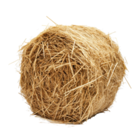 Freshly harvested hay stack on a clean white background for agricultural display, Hay Stack on white background png