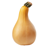 Butternut squash standing on white background with vibrant color and smooth texture, Butternut isolated on white background png