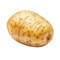 Freshly picked potato showcasing smooth skin and earthy tones on a clean Transparent background, potato on background png