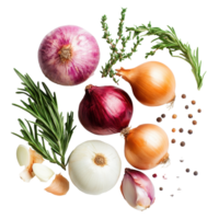 Variety of onions and herbs arranged artistically on a Transparent background for culinary inspiration, onion vegetable ingredient isolated on background png