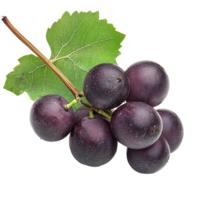 Burmese grape cluster with green leaf isolated on white background, Burmese grapeisolated on white backgroundbackground png
