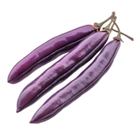 Purple beans display vibrant color and unique shape against a clean Transparent background, purple beans isolated on background png