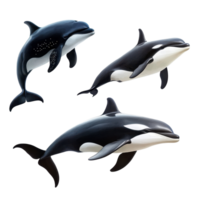 Realistic representations of a whale, dolphin, and orca highlighting marine mammal diversity, Marine Mammal realistics Whale, Dolphin, and Orca Isolated on Transparent background png