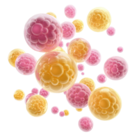 Group of vibrant yellow and pink spheres with intricate details floating in a white background, group cellulores with yellow and pink spheres, white background png