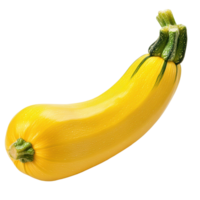 Yellow zucchini sitting isolated on a Transparent background highlighting its vibrant color and smooth texture, yellow zucchini isolated on background png