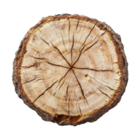 Log cross section on a Transparent background showing detailed wood grain patterns and growth rings, Log Cross Section, background png
