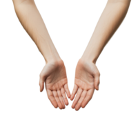 Open hands presented against a simple white background for a welcoming gesture or handson approach, hands the person, white background png