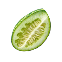 Freshly sliced striped cucumber on a clean Transparent background showcasing vibrant colors and textures, slice striped cucumber isolated on background png