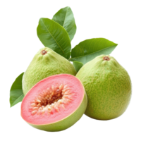 Fresh guava tropical fruit isolated on white background showcasing vibrant color and texture, Guava tropical fruitisolated on white background png