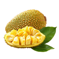 Ripe jackfruit with vibrant yellow flesh and green spiky exterior isolated on Transparent background, ripe Jackfruit with leaf isolated on background png