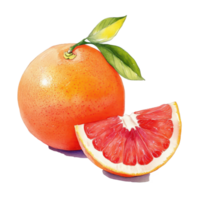 Grapefruit with a fresh slice presenting vibrant colors on a white background, grapefruit with slice on white background png