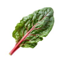 Fresh Swiss chard leaf with vibrant colors on a clean Transparent background for culinary presentations, Swiss chard leaves vegetable isolated on background png