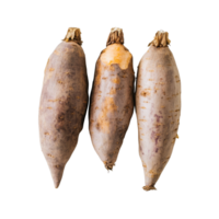 Fresh yams displayed on a clean Transparent background showcasing their natural texture and colors, yams on background png