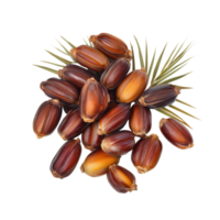Fresh date palm fruit arranged on a Transparent background with green leaves, date palm fresh fruit isolated on background png