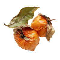 Dried persimmons with leaf on a Transparent background showcasing their unique texture and natural color, dried persimmon with leaf isolated on background png