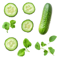Fresh cucumber and slices with green leaves arranged on Transparent background for healthy food presentation, Cucumber and slices isolated on background png