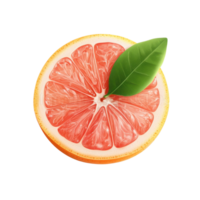 Ripe half of pink grapefruit with fresh green leaf on a bright background, Ripe half of pink grapefruit citrus fruit with leaf isolated on Transparent background png