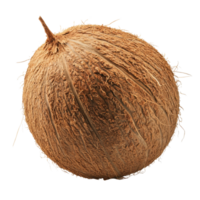 Whole coconut isolated on Transparent background showcasing its texture and natural fibers in detail, Whole coconut isolated on background png