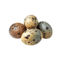 Quail eggs in various colors on a bright Transparent background for culinary or decorative purposes, quail eggs isolated on background png