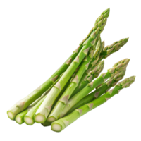Fresh asparagus bunch isolated on white background showcasing vibrant green color and natural freshness, Fresh Asparagus isolated on white background png