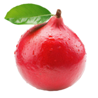 Fresh red guava fruit showcasing vibrant color and texture with green leaf on Transparent background, Red guava fruit isolated on background png