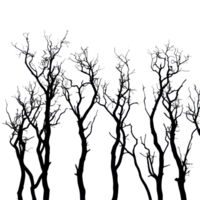 Silhouetted dry trees stand isolated against a stark Transparent background capturing autumn s end, Silhouette many dry trees isolated on background png