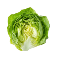 Freshly sliced green iceberg lettuce displayed on a clean Transparent background for culinary uses or recipe presentations, Slice Green Iceberg lettuce on background png