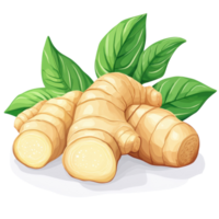 Fresh ginger herb with vibrant green leaves isolated against a white background, ginger herb with leafisolated on white background png