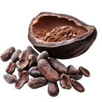 Fresh cocoa shell and beans displayed on white background showcasing natural chocolate ingredients, Fresh cocoa isolated on white background png