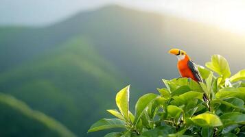 Vibrant toucan perched on lush green leaves overlooking misty mountains at sunrise photo