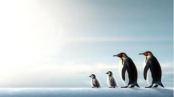 Two adult penguins walking alongside their two chicks on a snowy landscape under a clear sky photo