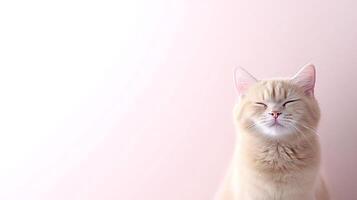 A serene light-colored cat sitting calmly against a soft pastel background, embodying tranquility photo