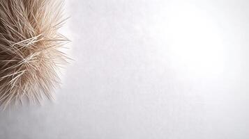 Close-up of soft, textured plant fibers on a light background, creating a serene atmosphere photo