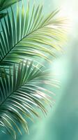 Sun shining through palm leaves creating a relaxing tropical atmosphere photo