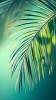 Tropical palm leaf gently swaying in turquoise breeze creating relaxing summer vibes photo
