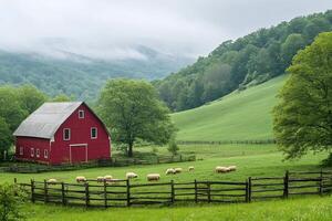 Sheep grazing in green pasture by red barn in the foothills of the appalachian mountains photo