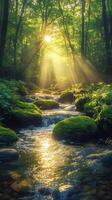 Sunbeams lighting mossy rocks in a pristine forest stream photo