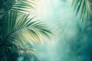 Tropical palm leaves swaying in gentle breeze creating relaxing blurred background photo